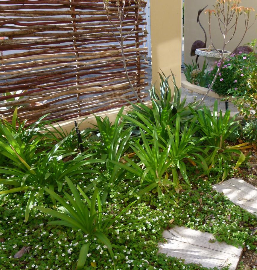Anchorage Inn Guesthouse Montagu Zewnętrze zdjęcie